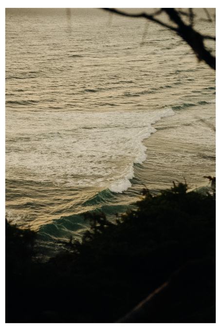 Waves washing in below dark coastal shrubs in warm evening light